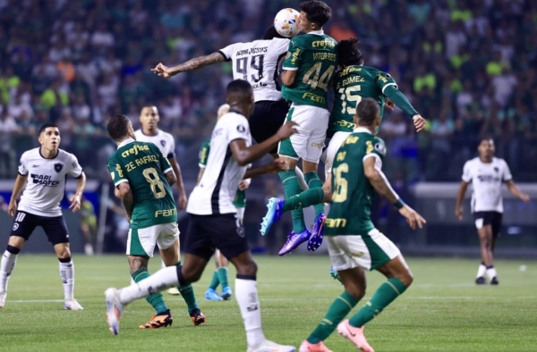 Palmeiras vs Botafogo RJ