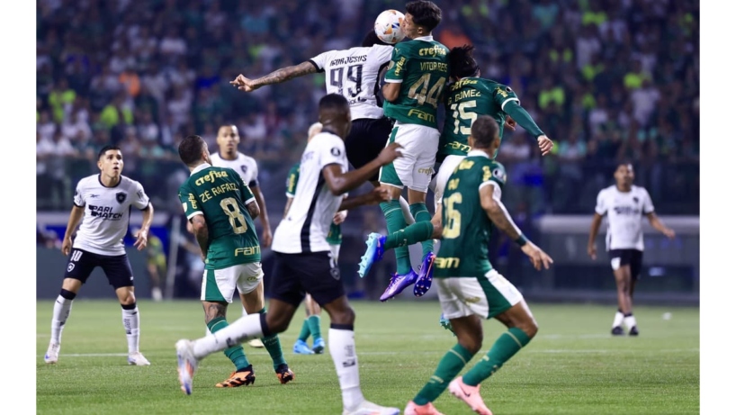 Palmeiras vs Botafogo RJ